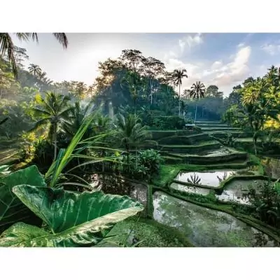 Puzzle 2000 pièces Au coeur de Bali - Collection Évasion