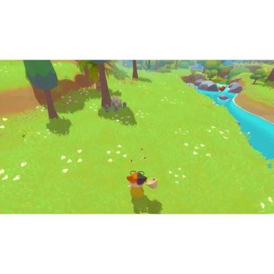 Découvrez le jeu PS5 Petit Island avec des dimensions compactes