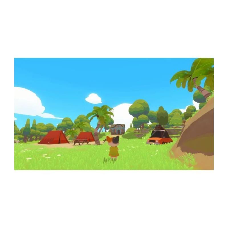 Découvrez le jeu PS5 Petit Island avec des dimensions compactes