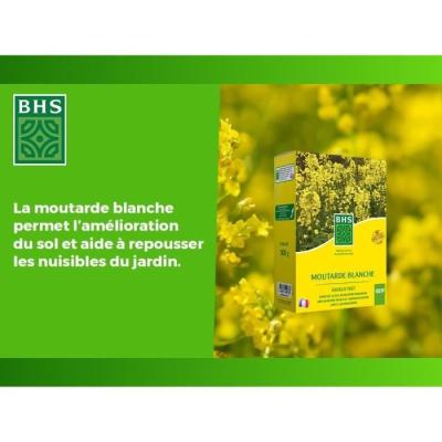Engrais Verts BHS - Moutarde Blanche 500g | Améliore et désinfecte sols