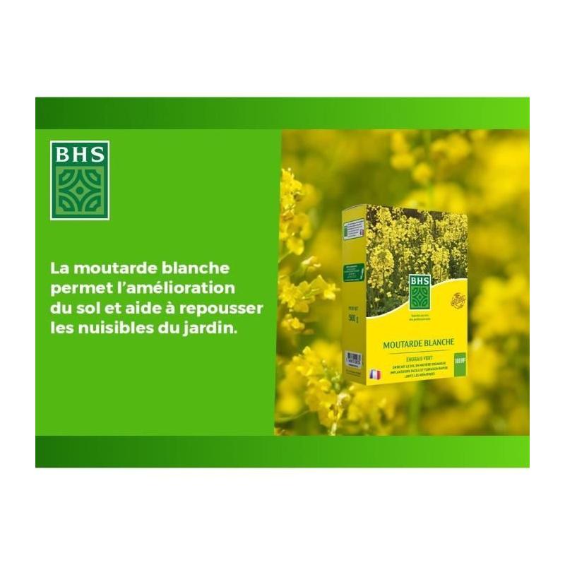 Engrais Verts BHS - Moutarde Blanche 500g | Améliore et désinfecte sols