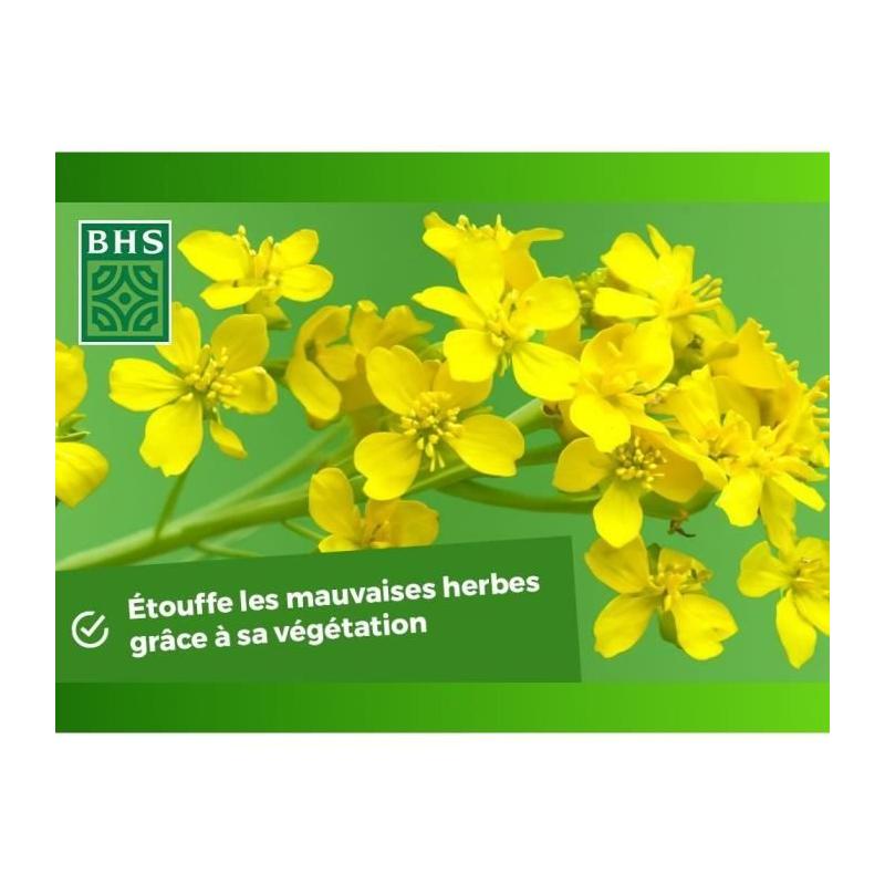 Engrais Verts BHS - Moutarde Blanche 500g | Améliore et désinfecte sols