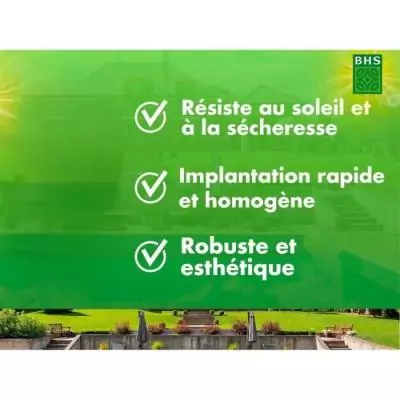 Gazon Rustique Sud - 1kg, Résistant aux conditions sèches