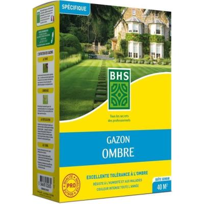 Gazon Ombre BHS 1kg | Résistant aux zones ombragées