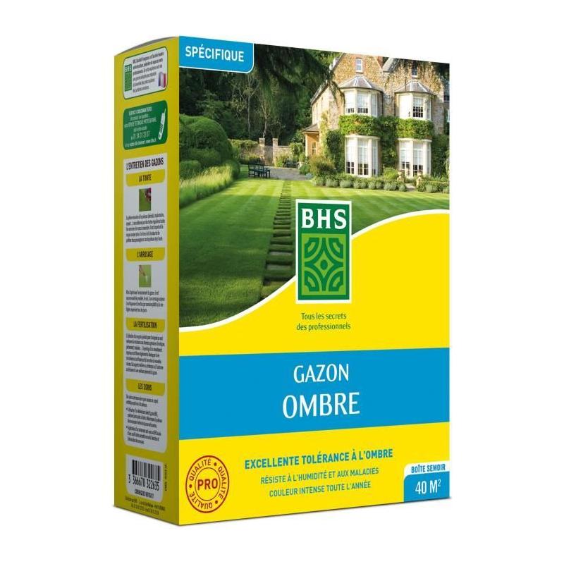 Gazon Ombre BHS 1kg | Résistant aux zones ombragées