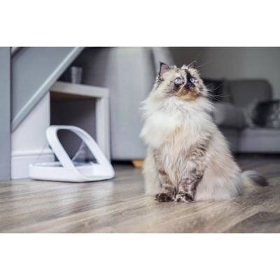 SUREFEED Distributeur de nourriture intelligent - Blanc (27x39x27 cm)