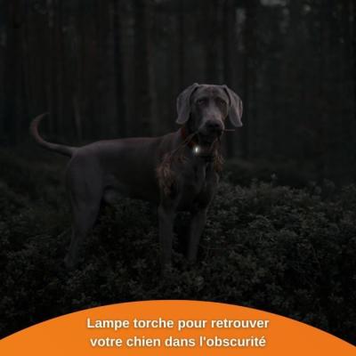 Traceur GPS pour Chien - Weenect XS (Black Edition 2023) - Idéal pour la chasse