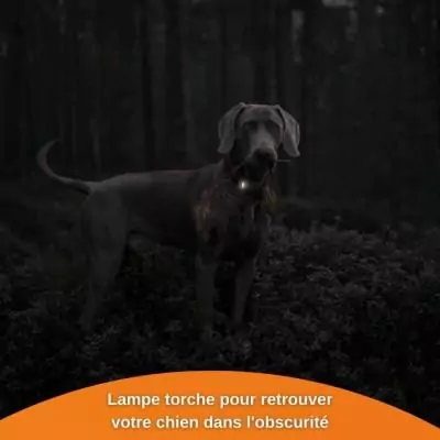 Traceur GPS pour Chien - Weenect XS (Black Edition 2023) - Idéal pour la chasse