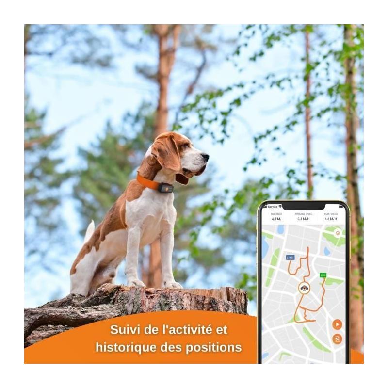 Traceur GPS pour Chien - Weenect XS (Black Edition 2023) - Idéal pour la chasse