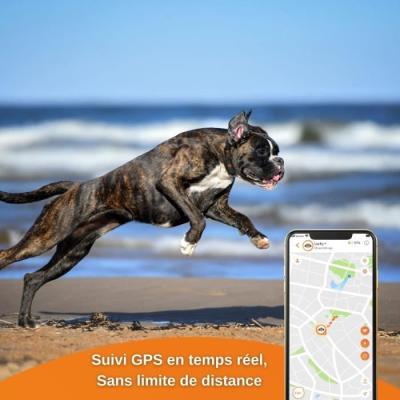 Traceur GPS pour Chien - Weenect XS (Black Edition 2023) - Idéal pour la chasse