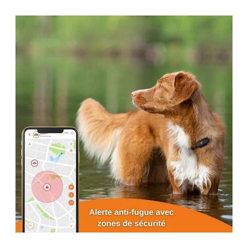 Traceur GPS pour Chien - Weenect XS (Black Edition 2023) - Idéal pour la chasse