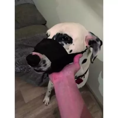 Museau en Nylon Noir pour Grand Chien avec Filet Respirant