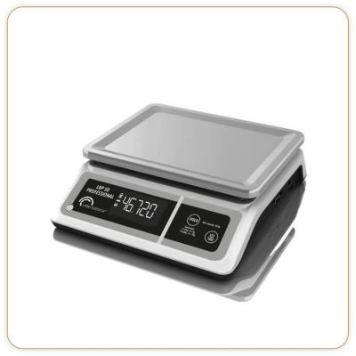 Balance professionnelle compacte - LBP 50 Professional - Gris