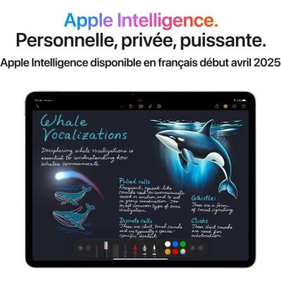 iPad Air M3 (2025) - 11" Wi-Fi + Cellular - 1To - Gris sidéral
