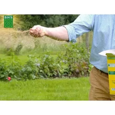 Gazon BHS Haute Résistance 5KG - Idéal pour Usage Intensif
