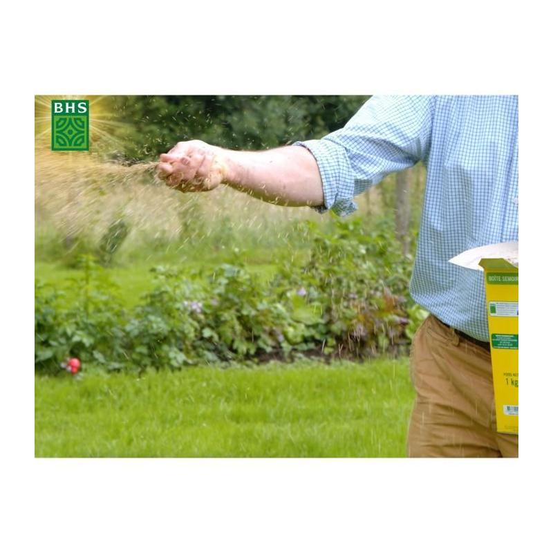 Gazon BHS Haute Résistance 5KG - Idéal pour Usage Intensif