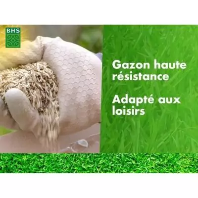 Gazon BHS Haute Résistance 5KG - Idéal pour Usage Intensif