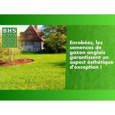 Gazon Anglais BHS 10kg - Pour Jardins Haut de Gamme