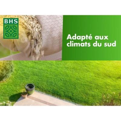 Gazon Rustique Sud - 10kg | Fétuque élevée | Résistant & Homogène