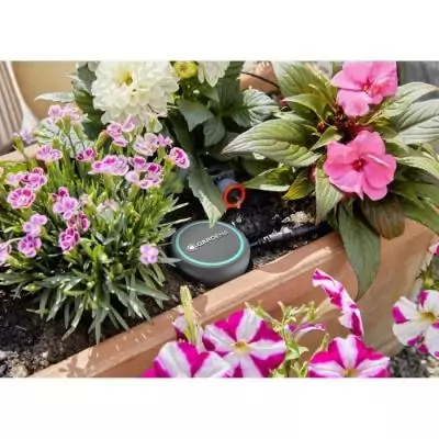 Sonde d'humidité du sol GARDENA - Mesure précise et facile