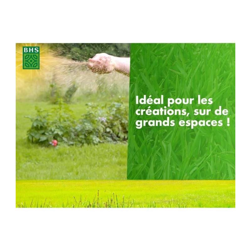 Gazon BHS 1er prix Eco - 10 kg - Qualité à petit prix