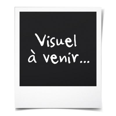 Perceuse à percussion sans fil - FIELDMANN - 20V - 35 Nm