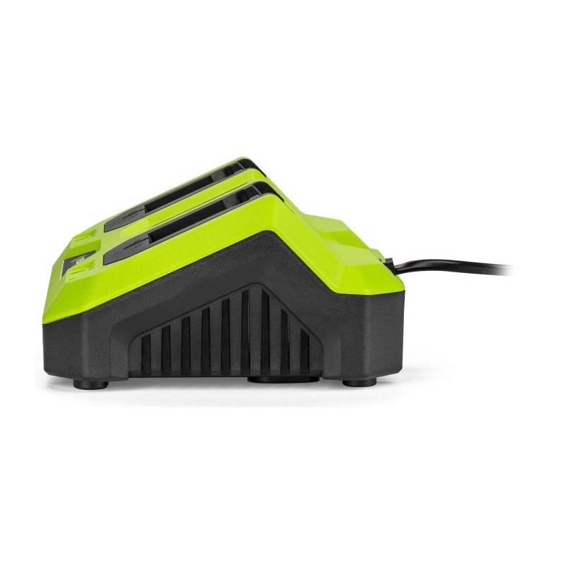 Chargeur double FIELDMANN pour batteries 20V - Charge 2Ah en 60 min - Compatible 2Ah, 4Ah