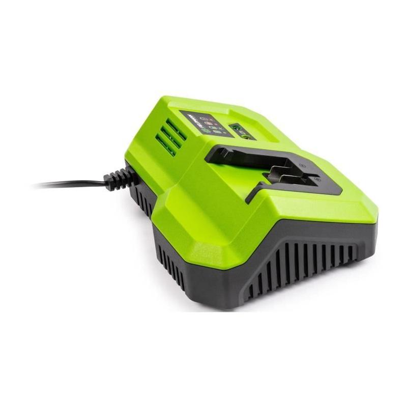 Chargeur rapide FIELDMANN pour batterie 20V - Charge 2Ah en 30 min
