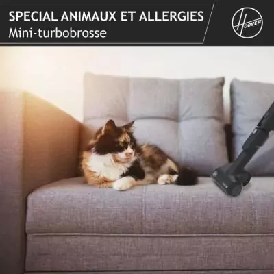 Aspirateur Traineau avec Sac - HOOVER HE530ALG - Spécial animaux et allergies
