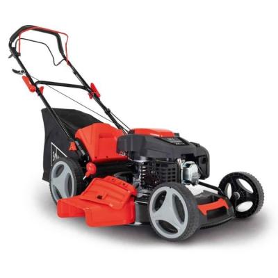 Tondeuse thermique MS200-51 - Performances compactes