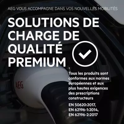 Chargeur batterie AEG 201869 - Puissance de charge 4A - Capacité 4-80Ah