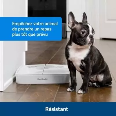 Distributeur automatique 2 repas PETSAFE - Sans BPA - 300g