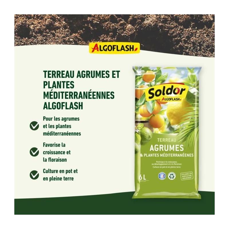 Terreau Agrumes et Plantes Méditerranéennes 6L - Sable de Qualité