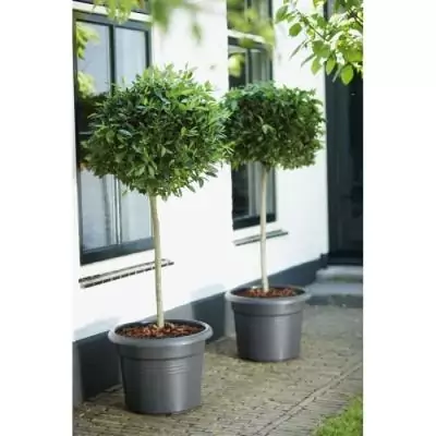 Jardinière Ronde GREEN BASICS Ø45 - Terre cuite douce