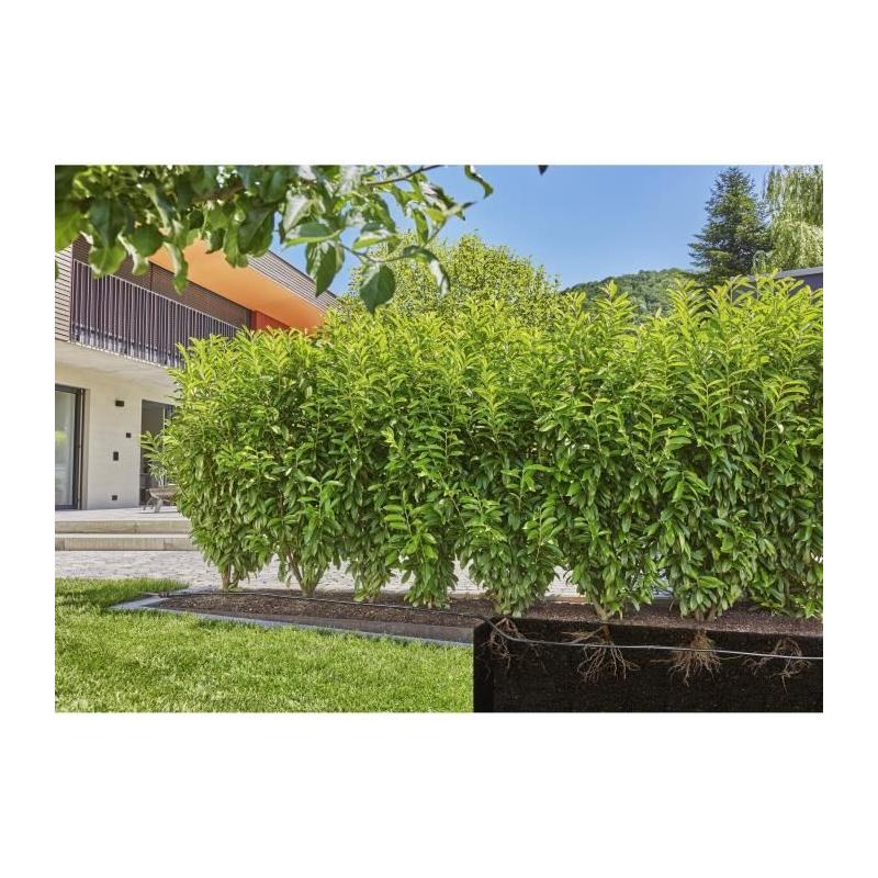 Extension de tuyau à goutteurs incorporés - GARDENA - 25 m - Enterré et en surface