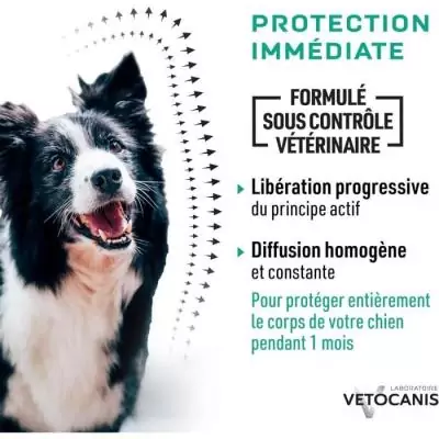 VETOCANIS 2 Pipettes anti-puces et anti-tiques - Chien 10-20 kg