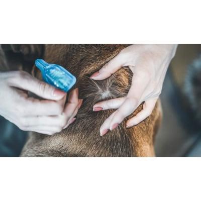 Lot de 2 pipettes VETOCANIS Action Duo Spot on - Grand chien