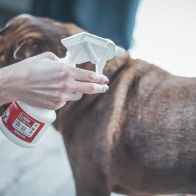Spray antiparasitaire VETOSOIN au Fipronil - 250 ml