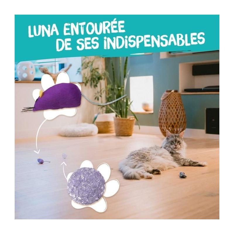 7 jouets pour Chat - AIMÉ, Jouet à Friandise de Taille Compacte