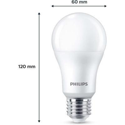 Philips Ampoule 100W A67 E27 x3