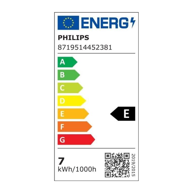 Philips Ampoule 100W A67 E27 x3