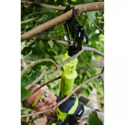 Coupe-branches 18V RYOBI ONE+ - Lames Bypass - Capacité de coupe 32mm