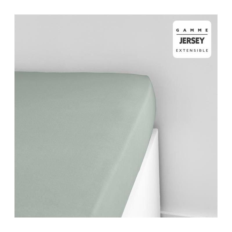 Drap housse TODAY Essential en coton jersey - 100% Coton - Celadon