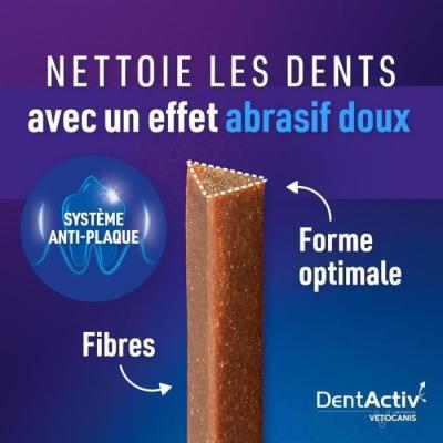 Bâtonnets DentActiv au Saumon pour Chat - Hygiène Bucco-Dentaire