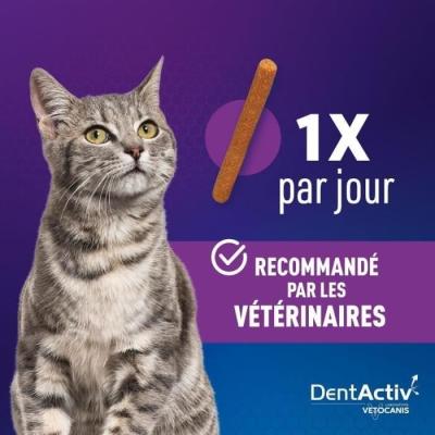 Bâtonnets DentActiv au Saumon pour Chat - Hygiène Bucco-Dentaire