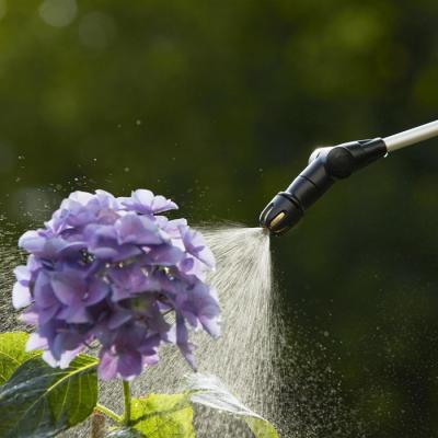 Atomisez avec facilité grâce au Pulvérisateur à pression sur batterie EasyPump 5L