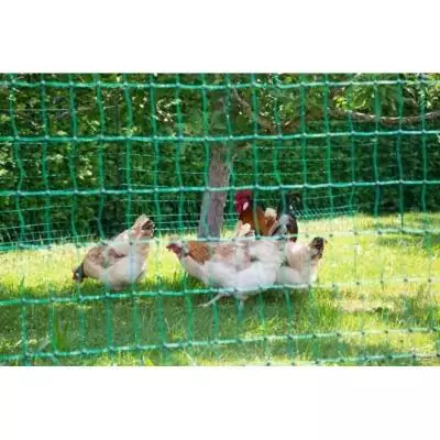 Filet pour poules 50m - Double pointe - Vert - Non électrique