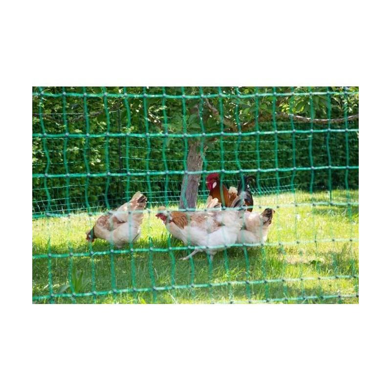 Filet pour poules 50m - Double pointe - Vert - Non électrique