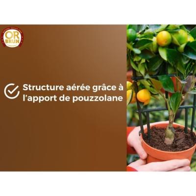 Terreau agrumes et plantes méditerranéennes 20 L - OR BRUN