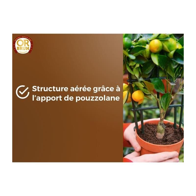 Terreau agrumes et plantes méditerranéennes 20 L - OR BRUN